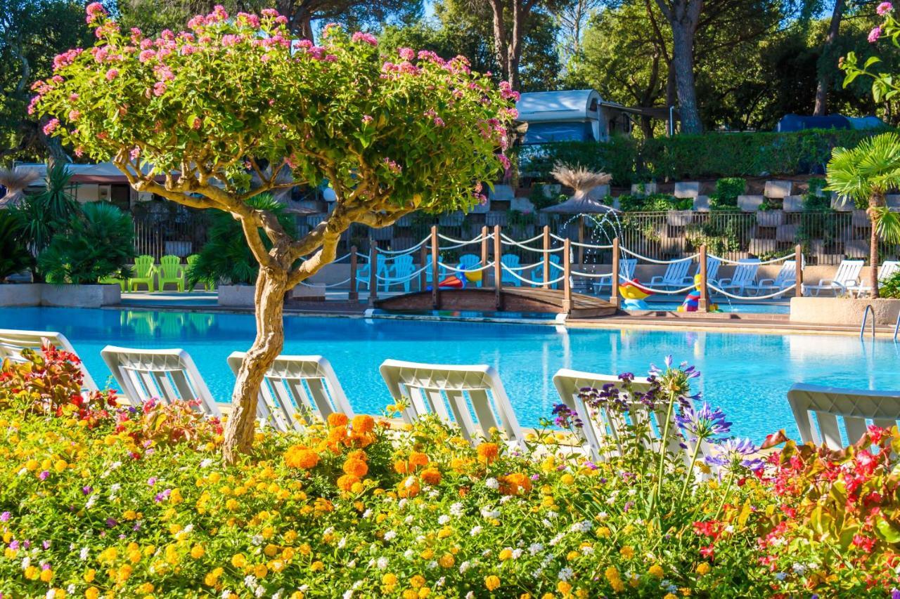 3 Bedroom Chalets Camping Lei Suves - Joycasa Roquebrune-sur-Argens Eksteriør bilde